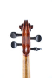3/4 Size Medio Fino violin fully restored