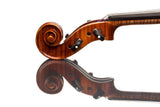 Viola - Gliga Gama