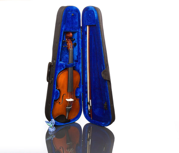 Violin outfit Gliga Genial 1