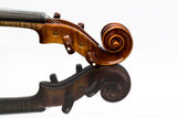 Gliga Genova violin