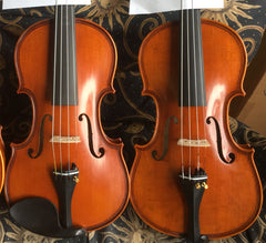 Single maker European instruments and bows