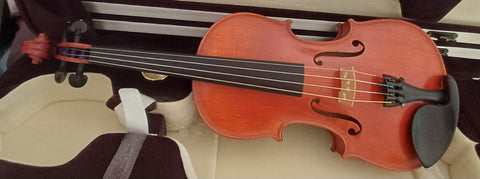 Sandu Stroe Master violin 4/4 2013
