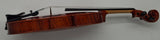 Used 1/2 size Stentor Messina violin