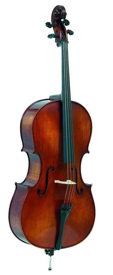 Gliga Gama cello