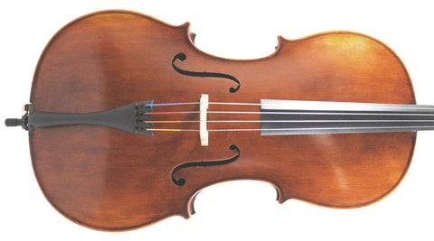 Concertante cello 4/4 Strad model (Eastman 305)
