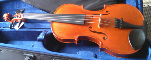 Five string Gliga violins 4/4 (violin only)
