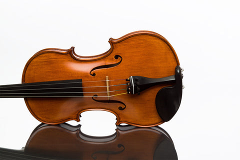 Gliga Gama violin suggested package 4/4 increased value