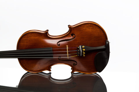 Gliga Gama violin suggested superior package 4/4
