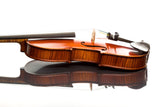 Gliga Gama super violin