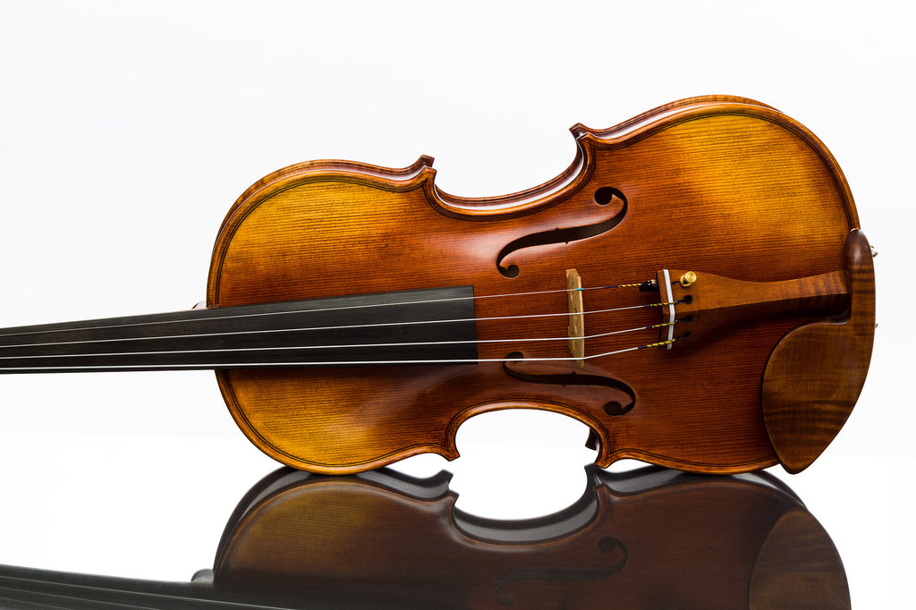 Gliga Genova violin