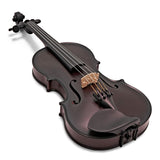Glasser Carbon Composite violin or viola - instrument only.  Acoustic. Vegan friendly!
