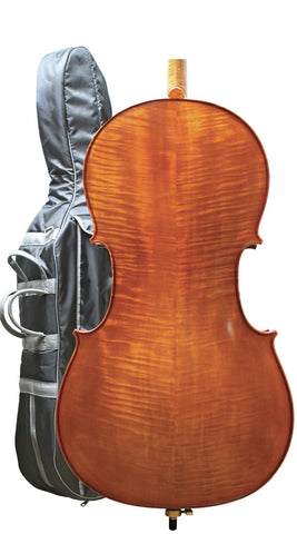 Westbury cello outfit ("Gold set up", Jargar strings)